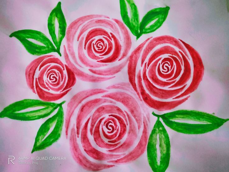 three pink roses with green leaves on a white background, painted in acrylic paint