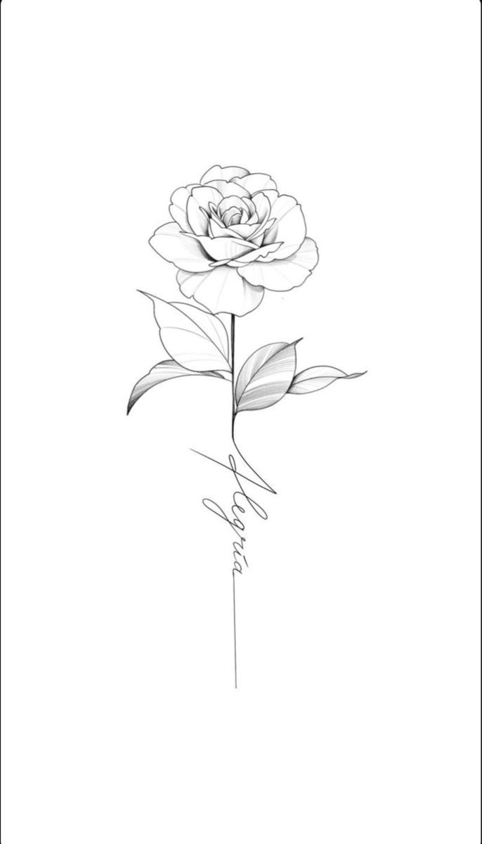 a black and white drawing of a rose with the word love written in cursive writing