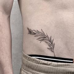 a close up of a person's stomach with an olive branch tattoo on it