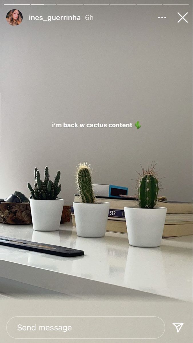 three potted cacti sitting on top of a counter next to a phone