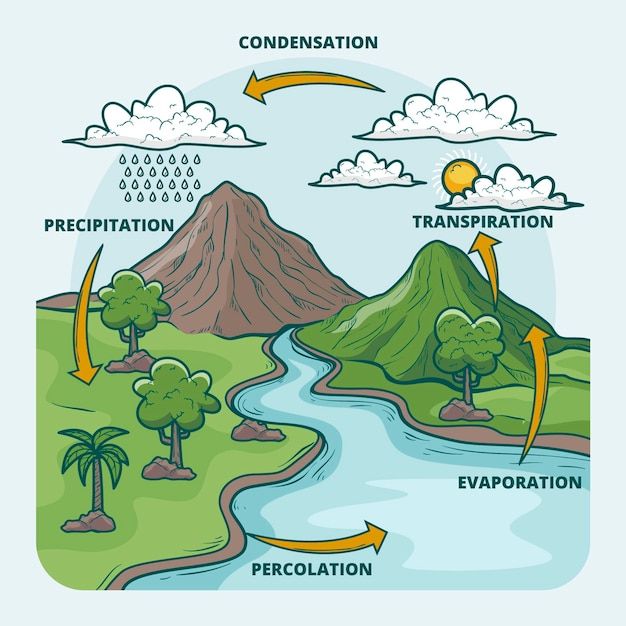 the water cycle is shown in this diagram, and shows how it's different stages