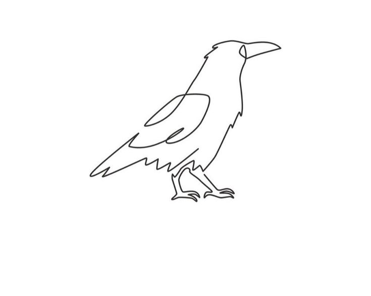 a black and white drawing of a bird