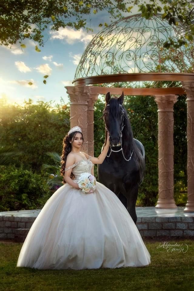 a woman in a wedding dress standing next to a horse