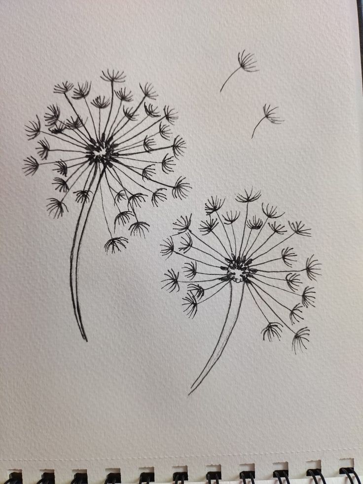 Double Dandelion by Kamalika using fineliner pen Pen Art Beginners, Easy Black Pen Art, Black Pen Art Doodles Easy, Black Pen Easy Drawings, Simple Pen Drawings Doodles, Pen Drawing Ideas Easy Simple, Mini Pen Drawings, Simple Black Pen Drawing, Pen Easy Sketch