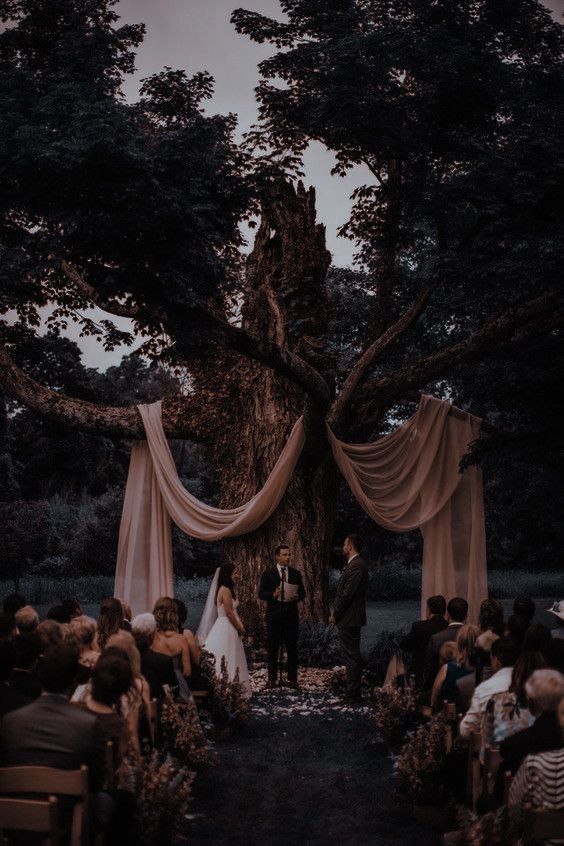 a couple getting married in front of a large tree with draping on it