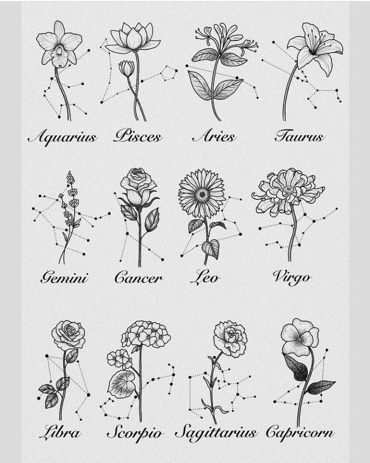 the zodiac signs and their flowers