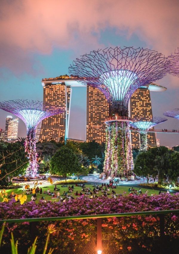 gardens by the bay in singapore at night