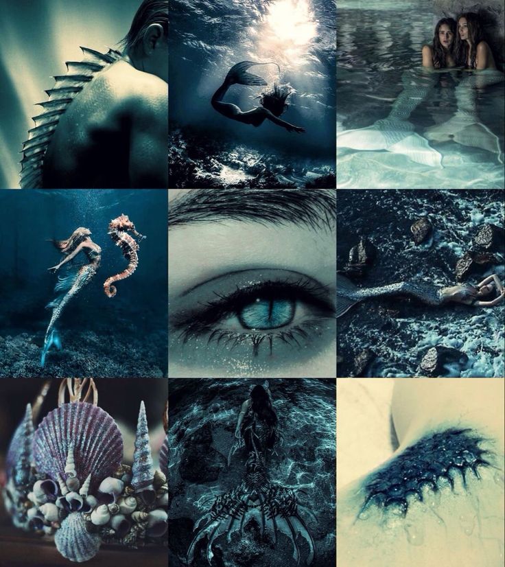 a collage of different pictures with people swimming in the water and sea creatures around them