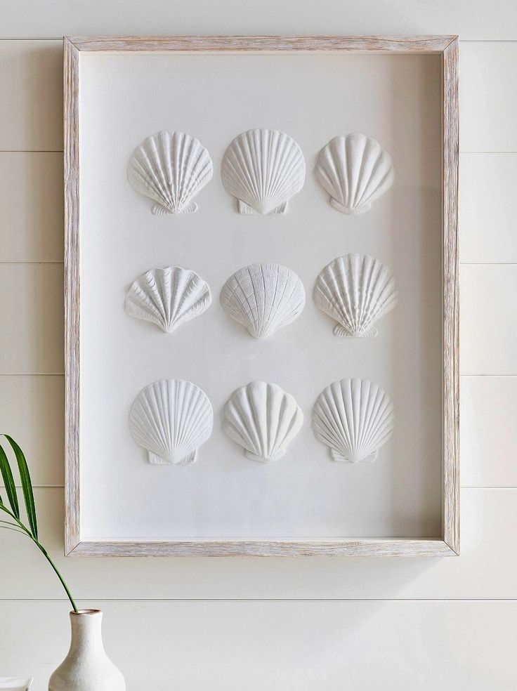 a white frame with seashells mounted on the wall next to a vase and plant