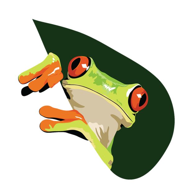 a frog with red eyes sitting on top of a green leaf