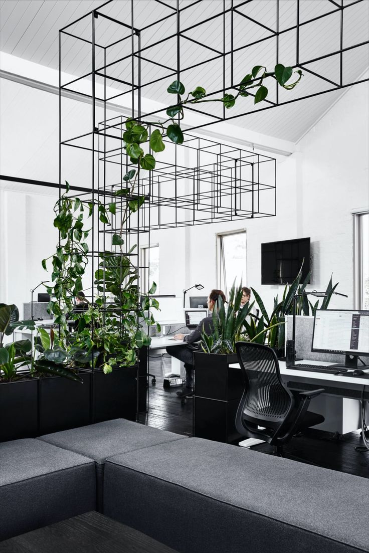 an office filled with plants and computers