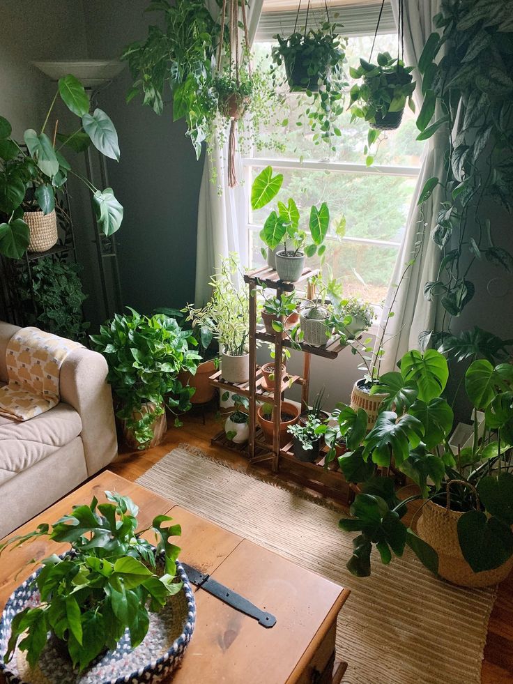 a living room filled with lots of green plants