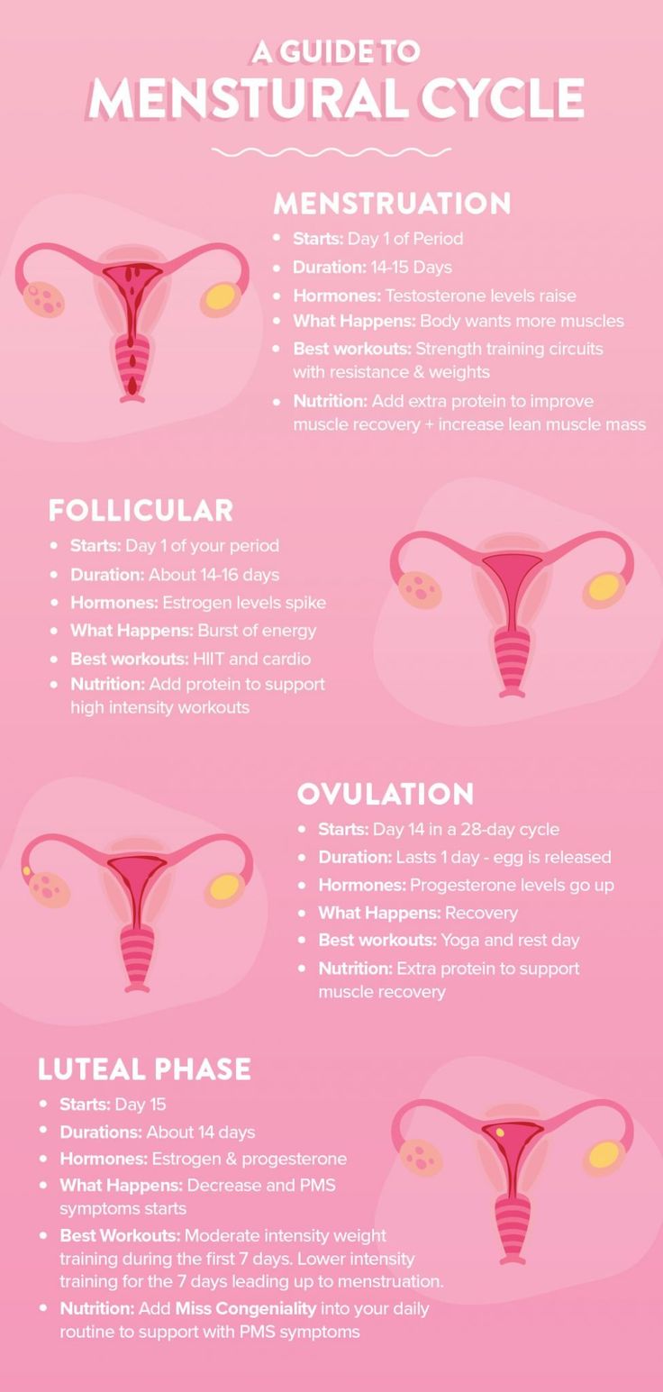 Cycle Infographic, Wellness Infographic, Cycle Health, Menstrual Cycle Phases, Menstruation Cycle, Love Sweat Fitness, Period Cycle, Progesterone Levels, Healthy Hormones