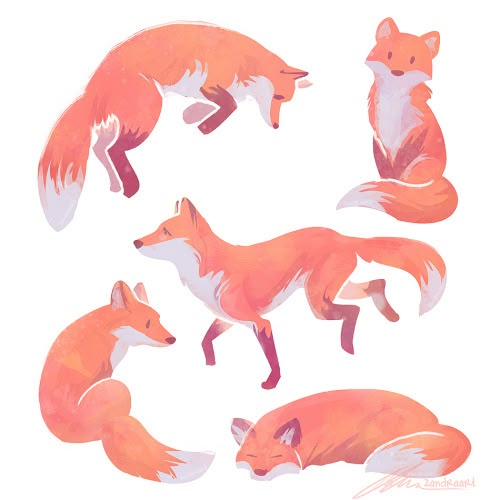 four red foxes sitting and standing in different positions