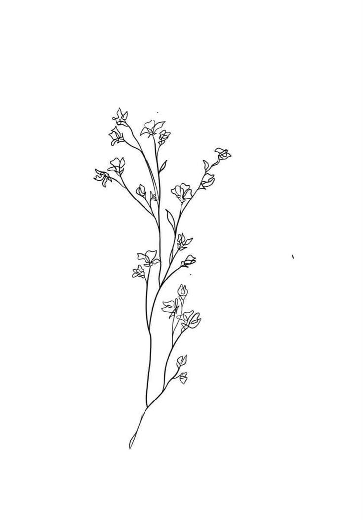 a black and white drawing of some flowers