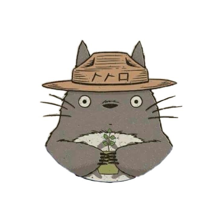 an image of a cartoon character with a hat on it's head and the caption, totoro