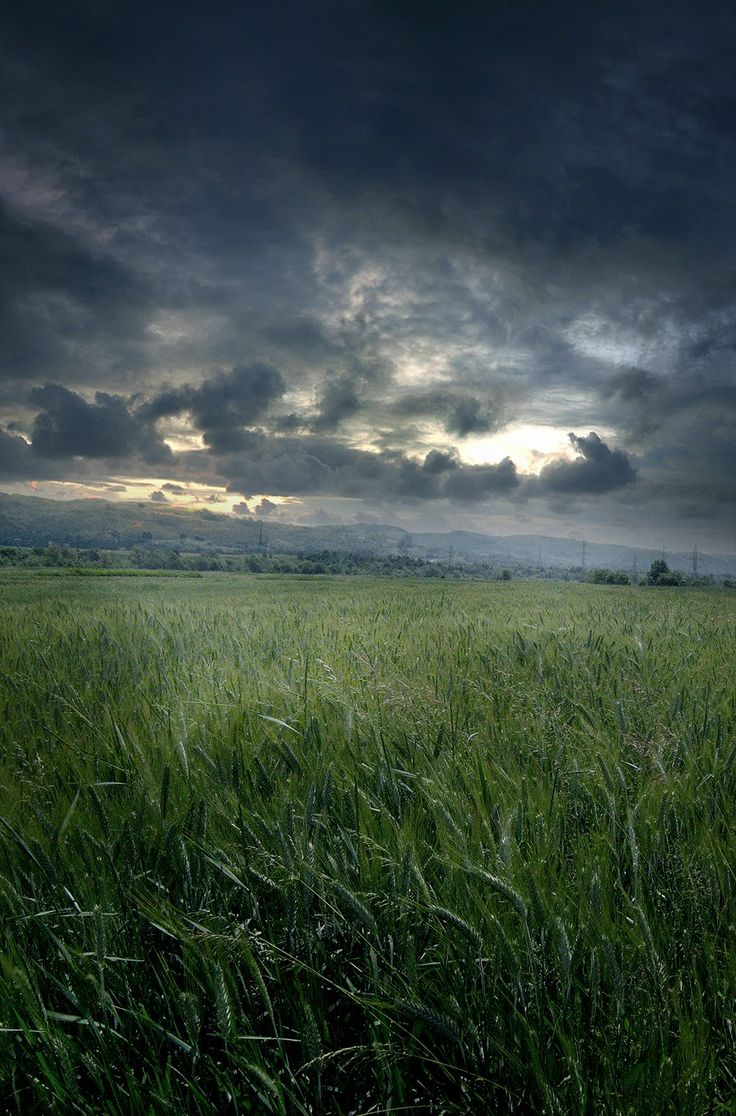 the sky is dark and cloudy over an open field with tall grass in front of it