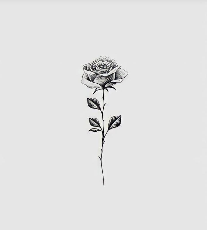 a black and white drawing of a rose