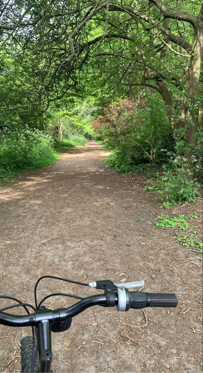 a bicycle is parked in the middle of a dirt road surrounded by trees and grass