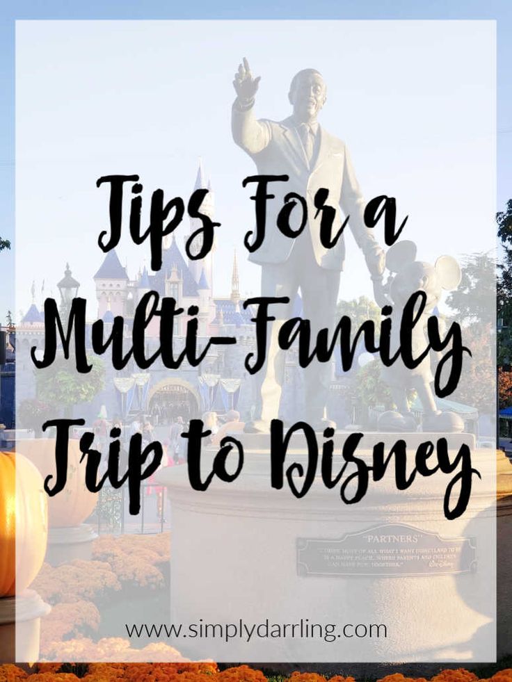 a statue with the words tips for a multi - family trip to disney