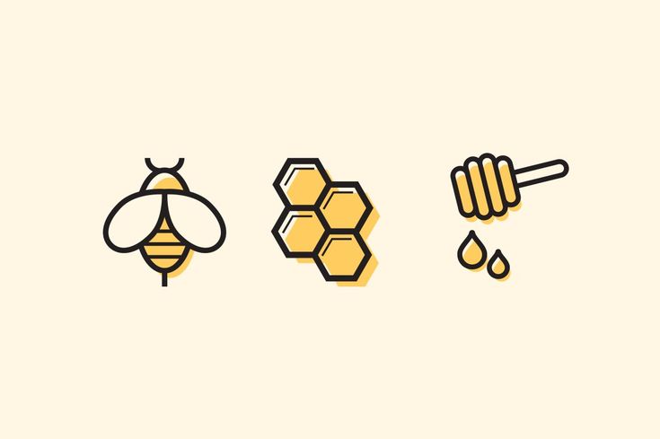 three honeycombs, one with a bee and the other with a drop of water