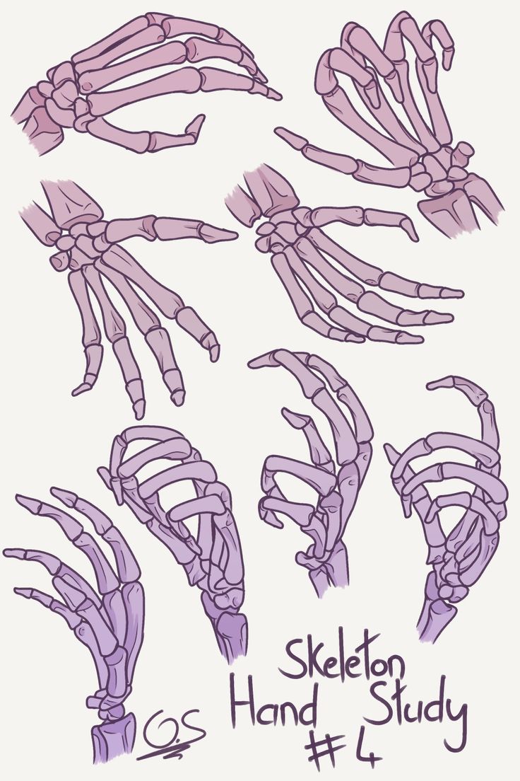 the skeleton hand study is shown in purple