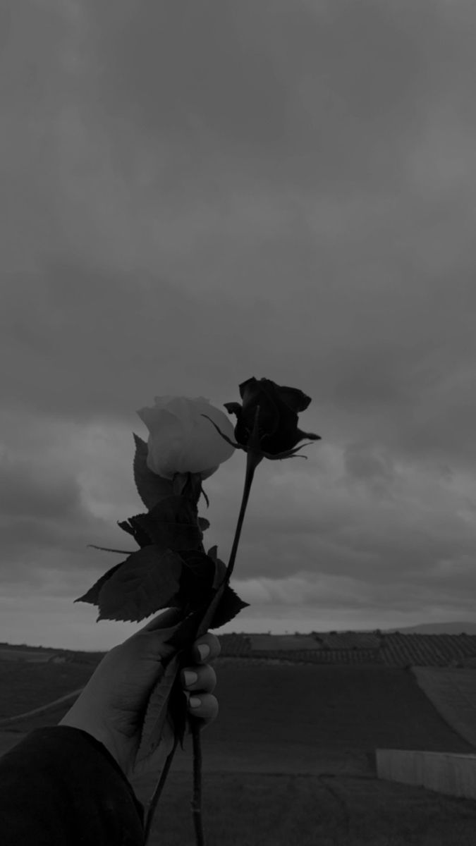 a person holding a rose in their hand on a cloudy day with the sky behind them