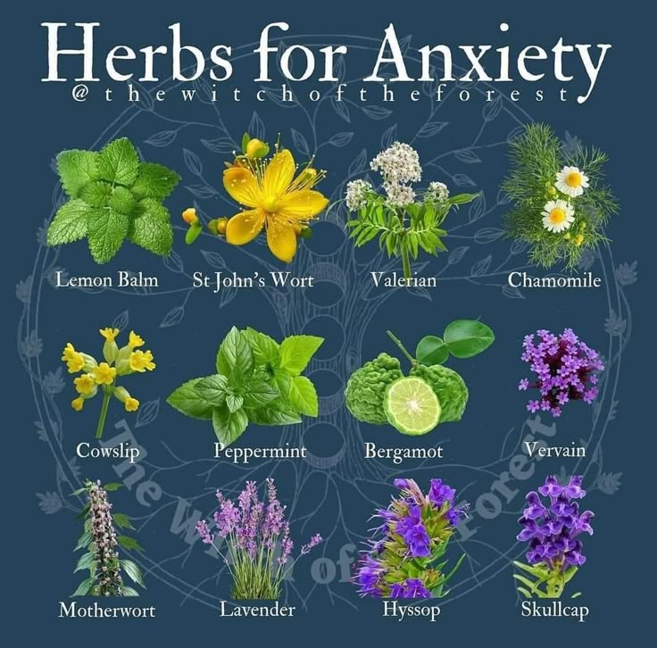 Medicinal Herbs Remedies, Dress Candles, Tea Love, Herbal Medicine Recipes, Medicinal Herbs Garden, Witch Herbs, Medical Herbs, Magic Herbs, Magical Herbs