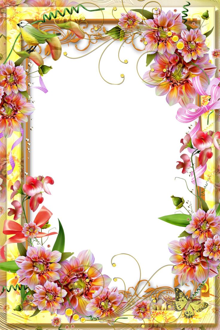 a floral frame with pink flowers and green leaves on the edges is shown in this image