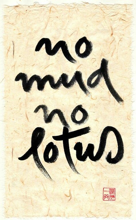 the words no mud, no lotus are written in black ink on white paper with red and