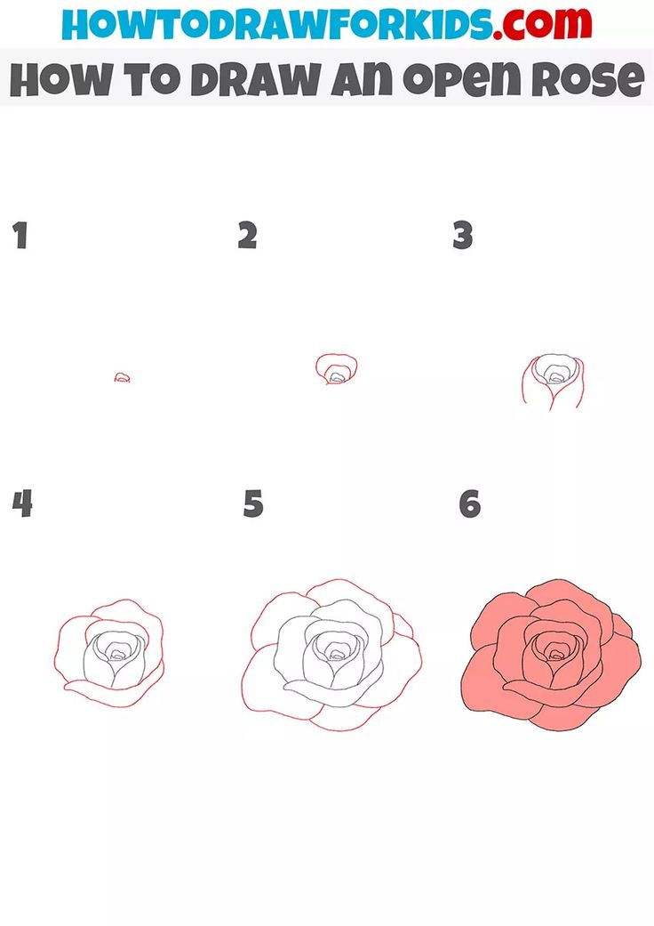 how to draw an open rose step by step instructions for kids and beginners with pictures