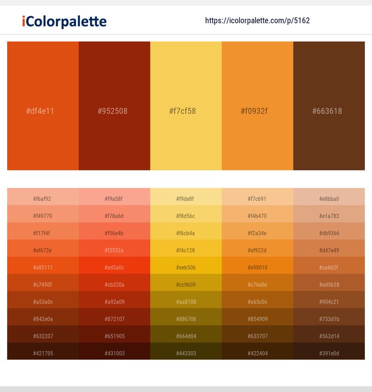 the color palette is shown with different colors in each section, including red and yellow