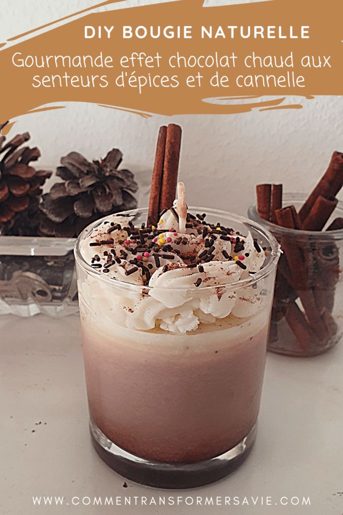 an image of a dessert in a glass with cinnamons on the side and pine cones behind it