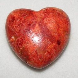 Get in-depth info on Coral Meaning, Healing Properties and Metaphysical Properties. Shop for unusual Healing Crystals in our online New Age store! Coral Meaning, Sponge Coral, Strange History, Asian History, Symbols And Meanings, Sterling Silver Heart Pendant, Crystals Stones, Viking History, Medieval Jewelry