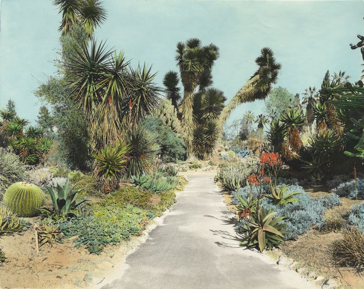 a painting of a road surrounded by plants and trees