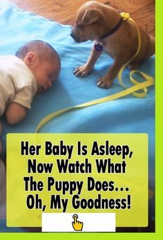 a baby is asleep next to a dog on a blue blanket that says, her baby is asleep now watch what the puppy does oh, my goodness