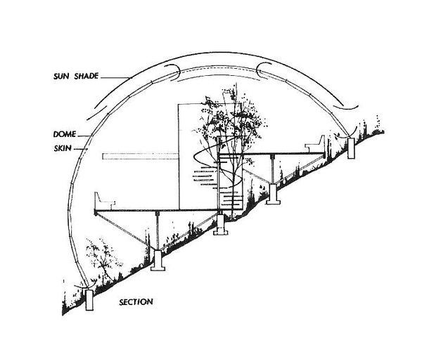 an architectural drawing of a spiral staircase with trees on each side and the words section above it