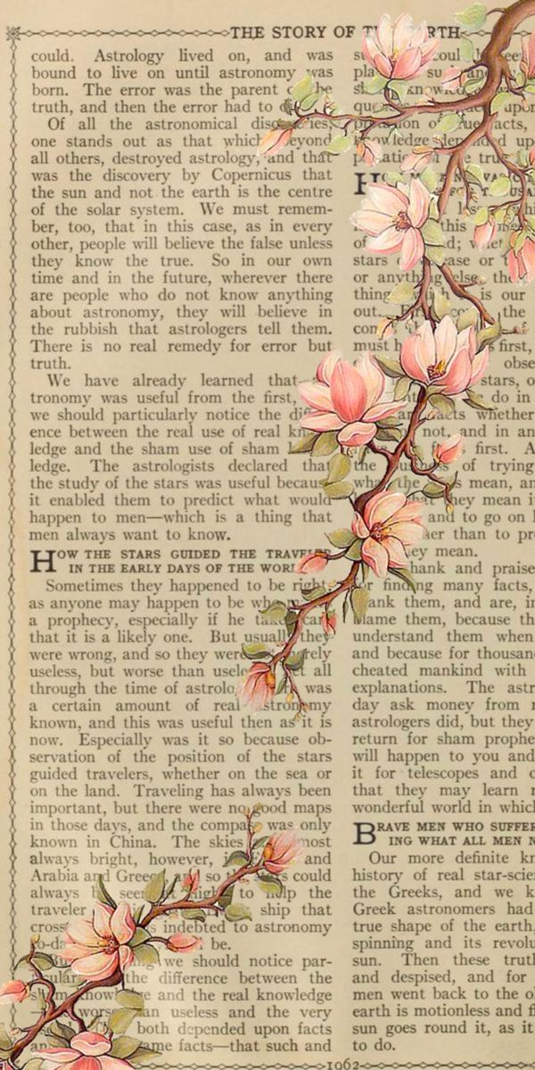 an old book page with pink flowers on it and the words,'the story of the