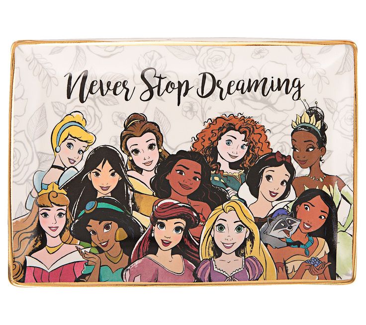 disney princesses never stop dreaming makeup bag with the words,'never stop dreaming'on it