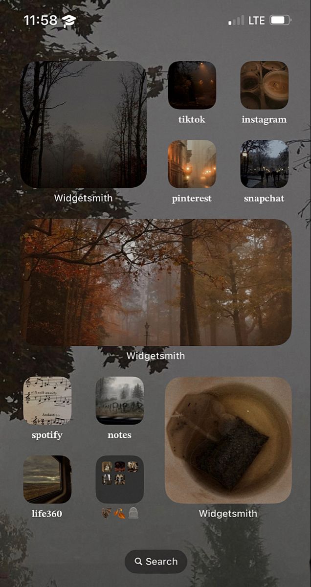 Autumn Phone Cases Aesthetic, Autumn Phone Theme, Autumn Phone Layout, Fall Ios Homescreen, Fall Phone Layout, Autumn Home Screen, Autumn Layout, Fall Phone Theme, Phone Homescreen Ideas