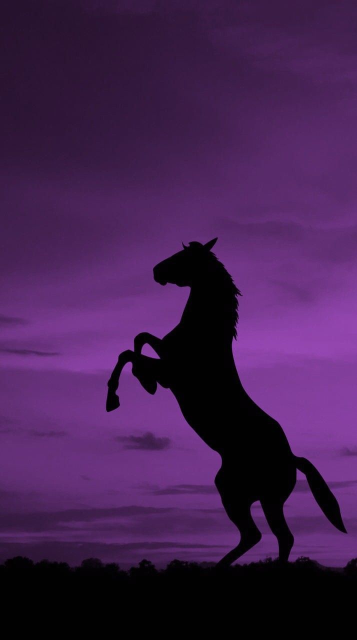 the silhouette of a horse is shown against a purple sky