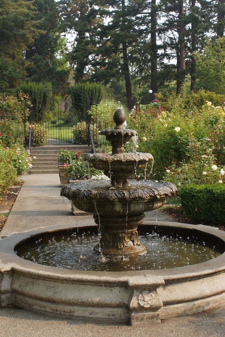 a water fountain in the middle of a garden