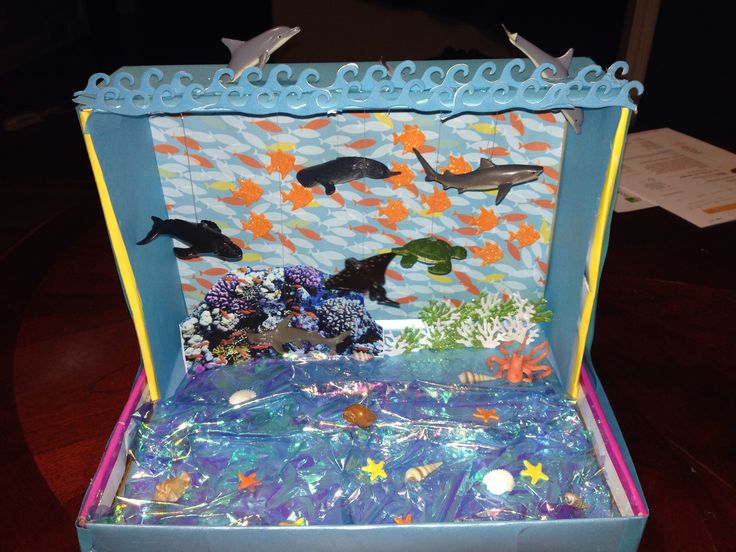 an open blue box with sea animals and fish in it on top of a wooden table