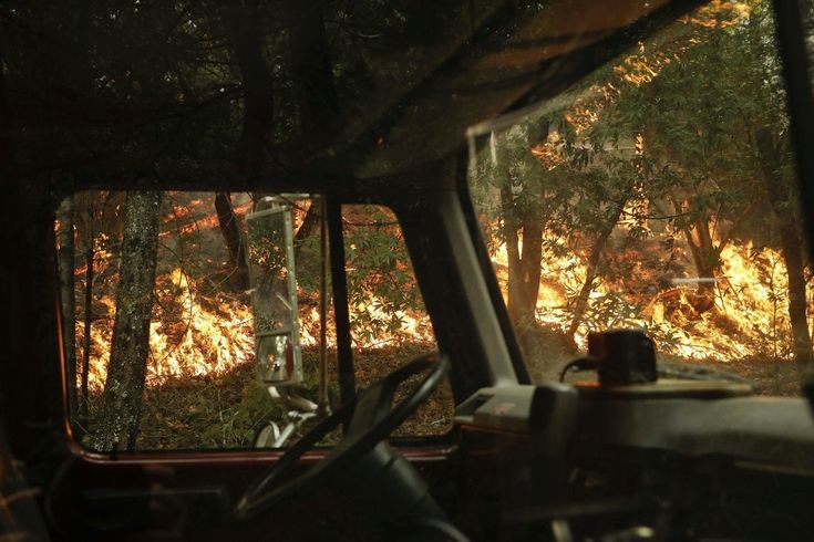 the view from inside a vehicle looking out at trees