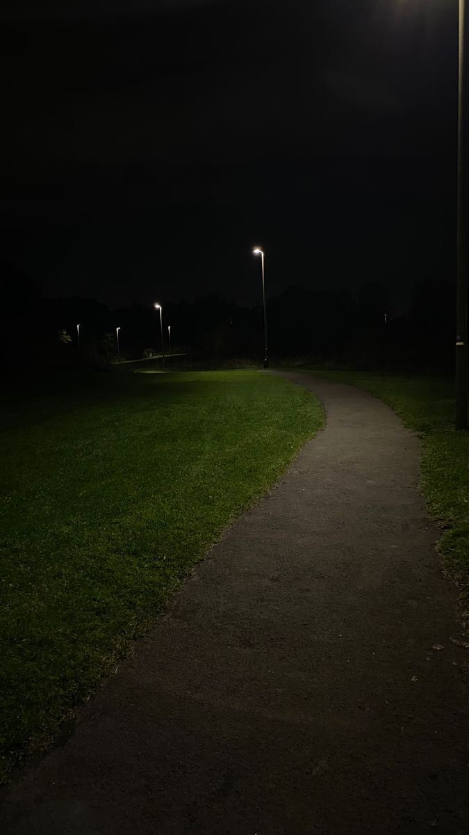 a path lit up at night with street lights in the distance and green grass on both sides