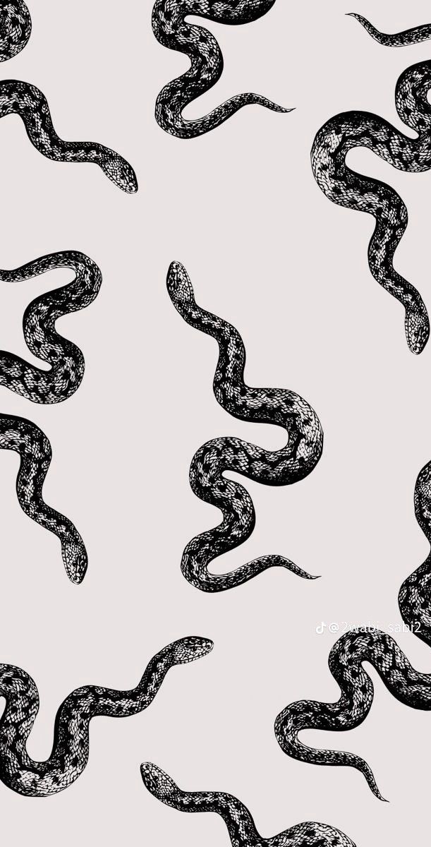 an image of a snake pattern in black and white