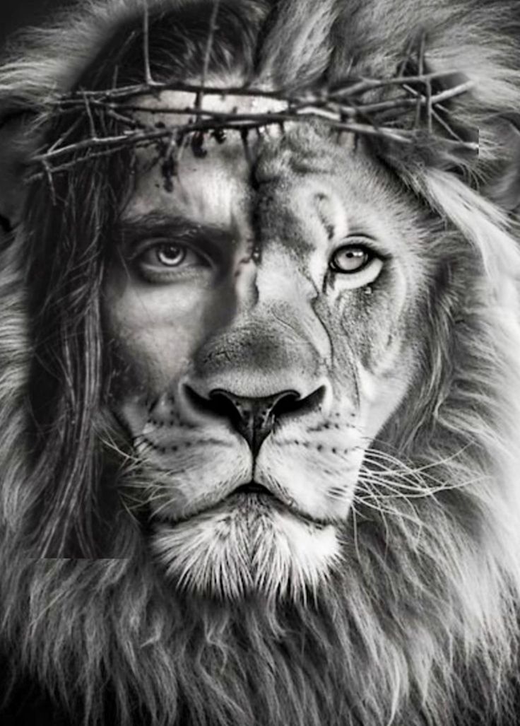 black and white photo of a lion with crown of thorns on it's head