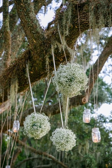 several hanging mason jars filled with baby's breath flowers are suspended from a tree