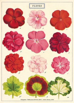 an old flower book with many different flowers