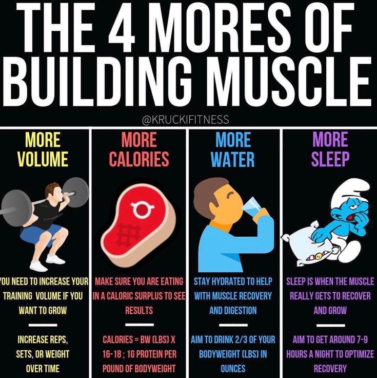 the 4 mores of building muscle by dr seussel, m d e